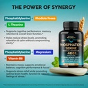phosphatidylserine-400-mg-with-l-theanin-4.jpg