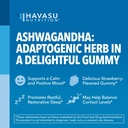 ashwagandha-gummies-for-stress-mood-supp-5.jpg