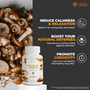 sirunes-reishi-mushroom-capsules-100-cou-4.jpg