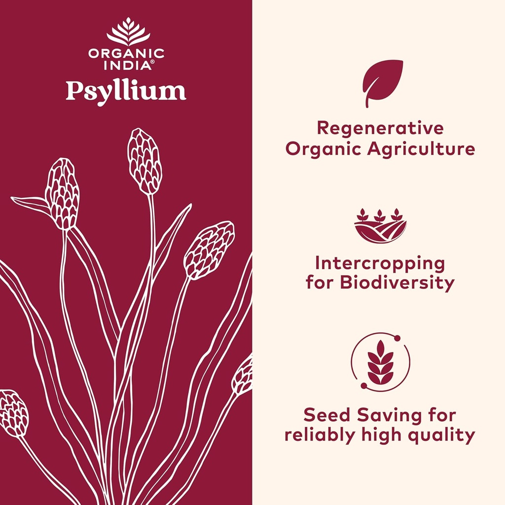 organic-india-psyllium-powder-organic----2.jpg