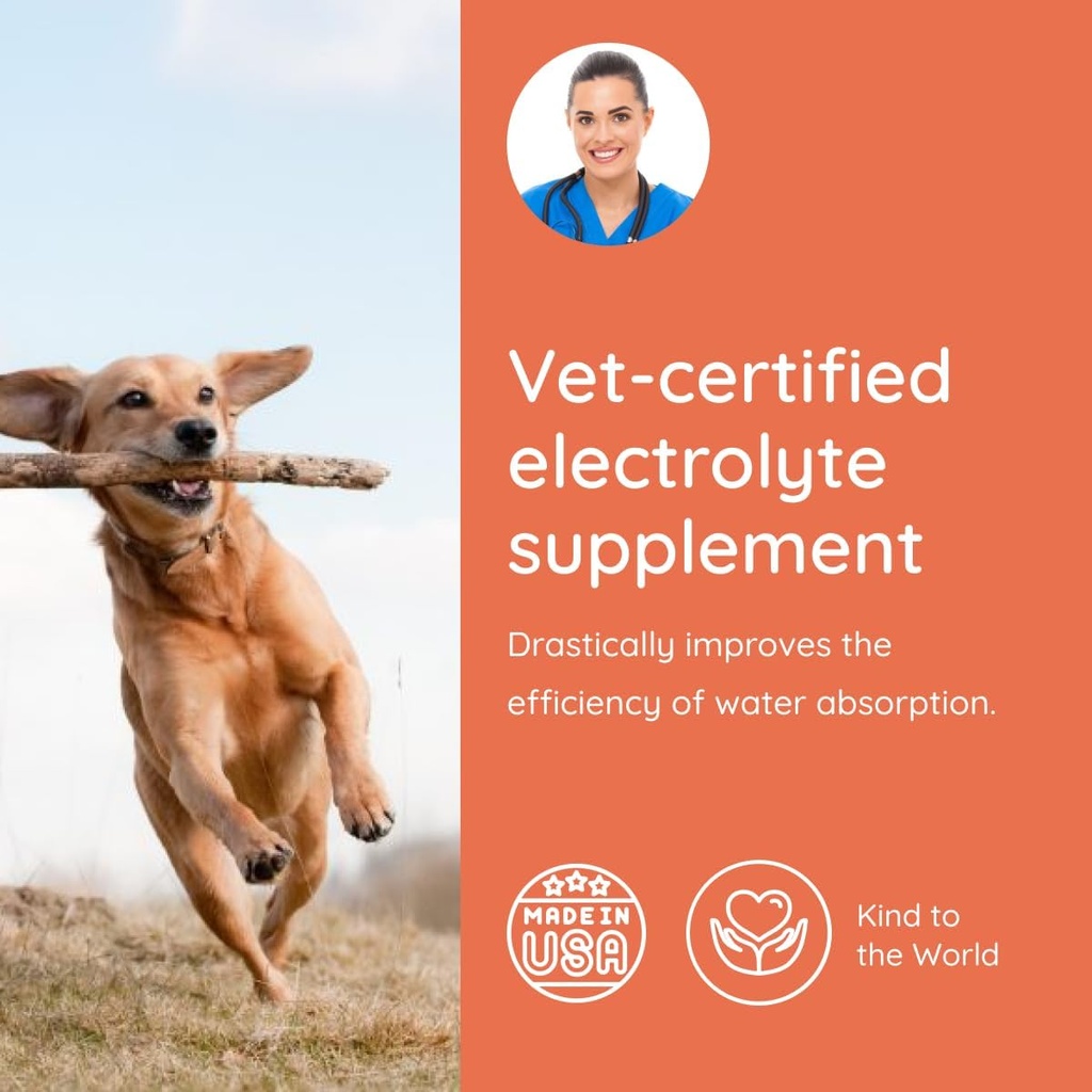 petralyte-dog-electrolytes-and-joint-sup-4.jpg