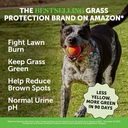 grass-green-dog-chews---urine-neutralize-2.jpg