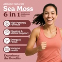 sea-moss-gummies-with-lions-mane-mushroo-2.jpg