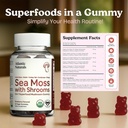 sea-moss-gummies-with-lions-mane-mushroo-3.jpg