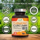 turmeric-curcumin-supplement-2600mg---95-4.jpg