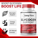 3-pack-easy-flow-glycogen-easyflow-glyco-4.jpg