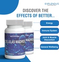 celulas-madres--stem-cell-supplement-for-3.jpg