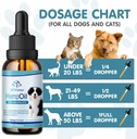hemp-oil-for-dogs-and-cats---helps-pets--3.jpg