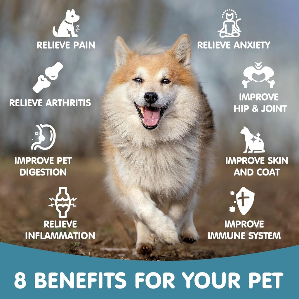 hemp-oil-for-dogs-and-cats---helps-pets--6.jpg