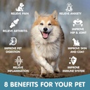 hemp-oil-for-dogs-and-cats---helps-pets--6.jpg