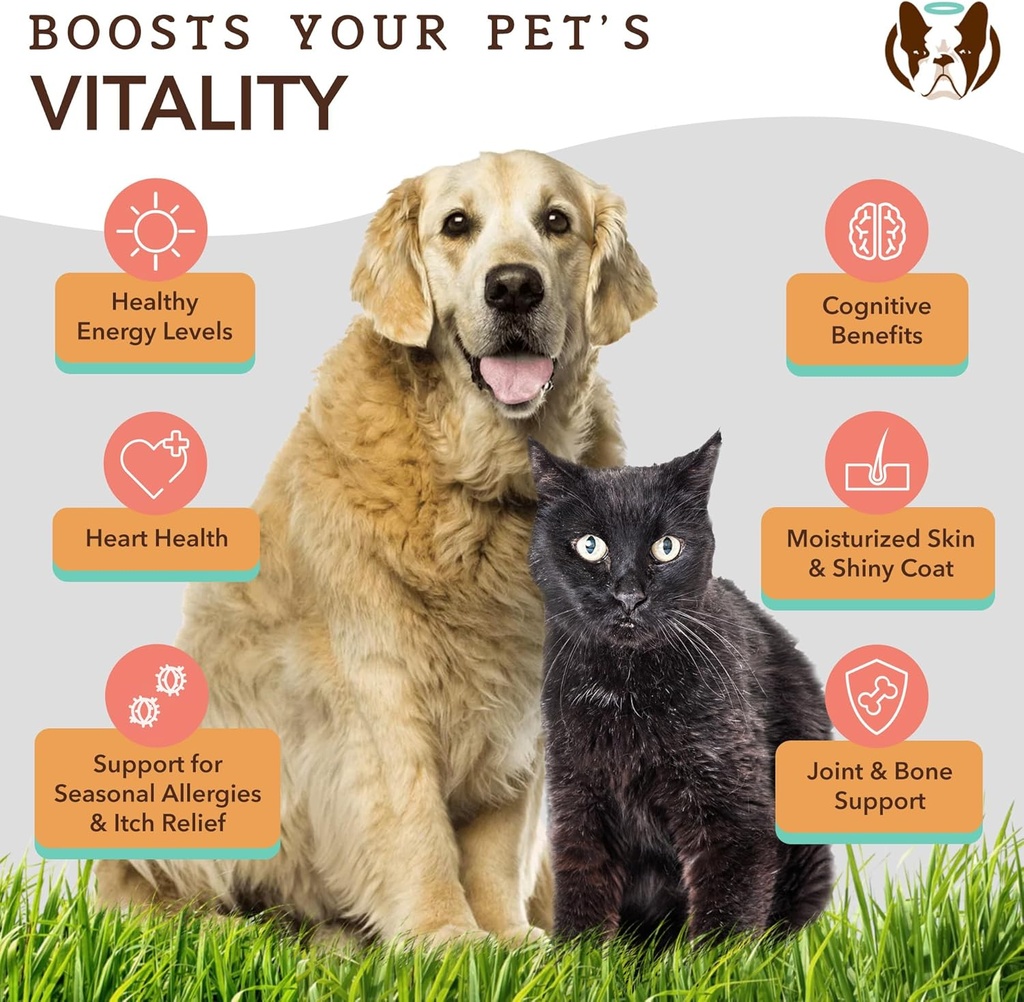 natural-dog-company-multivitamin-chews-c-5.jpg
