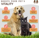 natural-dog-company-multivitamin-chews-c-5.jpg