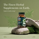 gaia-herbs-green-tea---helps-maintain-he-2.jpg