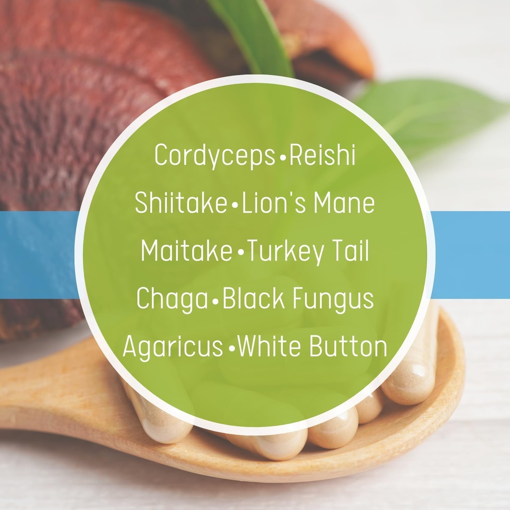 daily-health-10-mushroom-blend-complex-a-3.jpg