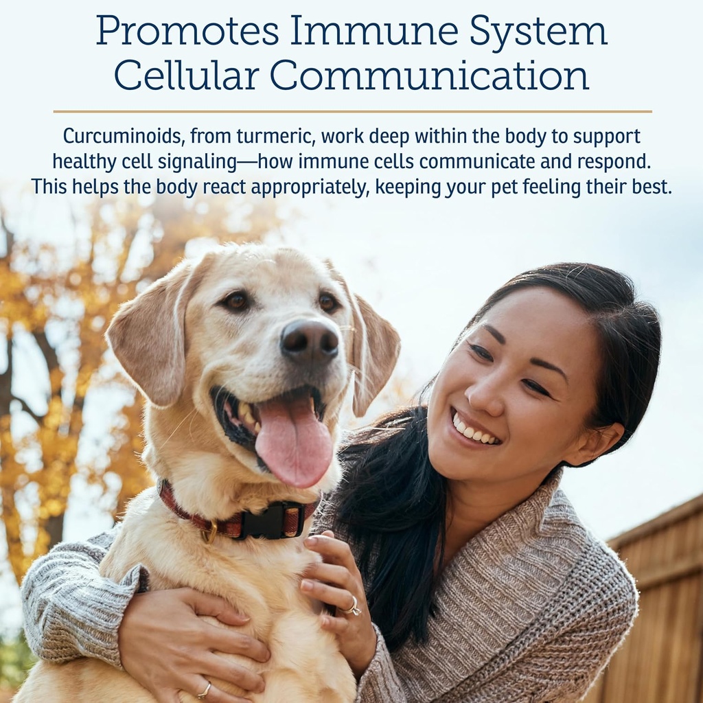 rx-vitamins-curcuwin---curcumin-for-dogs-4.jpg