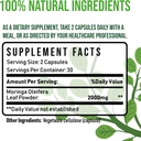 moringa-capsules-by-reherbify-1000mg-60--5.jpg