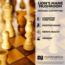 nootropics-depot-lions-mane-mushroom-cap-4.jpg