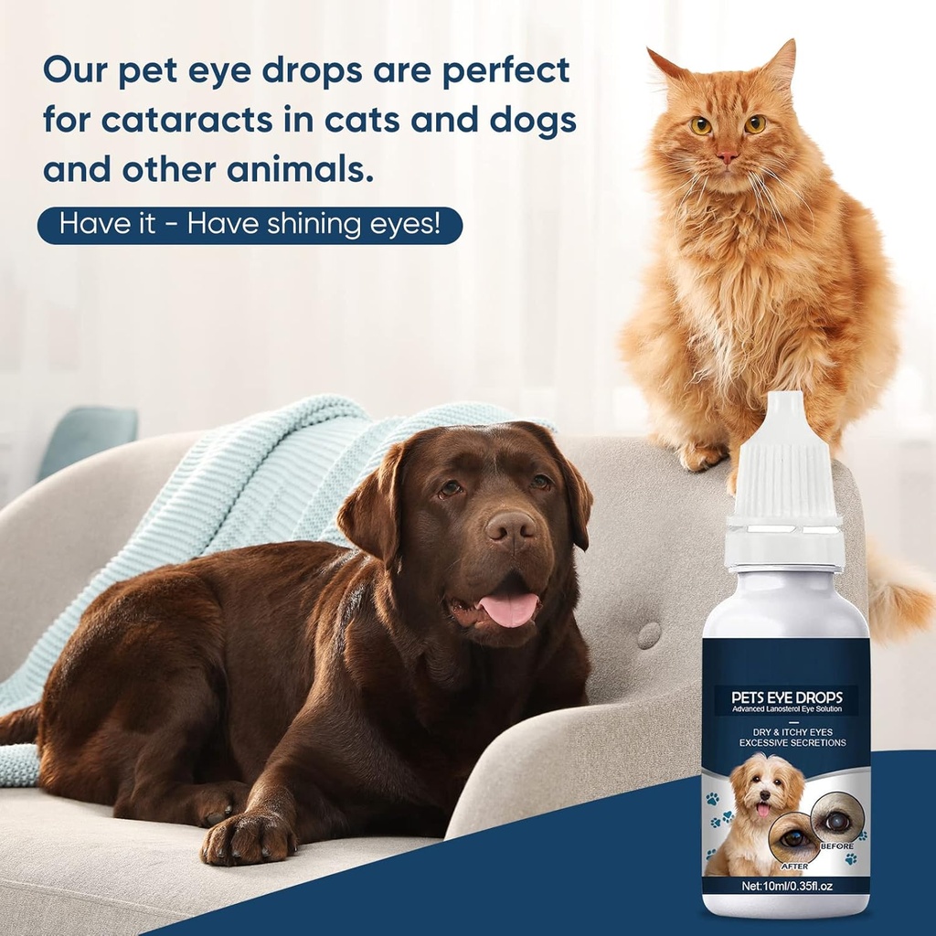 cataract-drops-for-dogs-dog-eye-drops-im-3.jpg