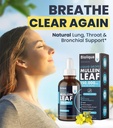 bioliqua-mullein-drops-for-lungs---high--2.jpg