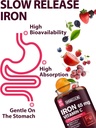 iron-supplement-for-women-men-high-poten-3.jpg
