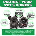 kidney-support-for-dogs---kidney-support-6.jpg