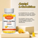 2-pack-acetyl-l-carnitine-gummies-l-carn-4.jpg