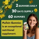 mullein-gummies-for-lung-cleanse-organic-4.jpg