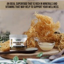 aki-irish-sea-moss-powder---rich-in-92-e-5.jpg