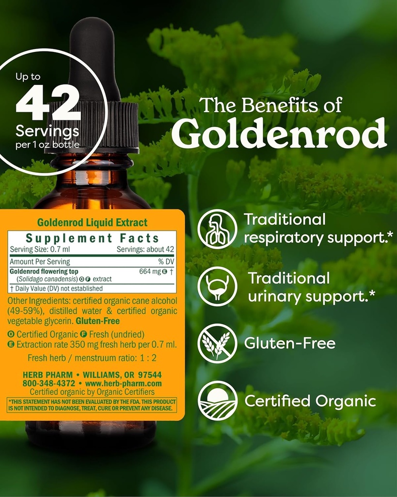 herb-pharm-certified-organic-goldenrod-l-2.jpg