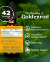 herb-pharm-certified-organic-goldenrod-l-2.jpg