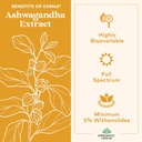 organic-india-ashwagandha-gummies-for-me-5.jpg