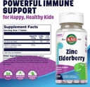 kal-kids-zinc-elderberry-dinosaurs-immun-2.jpg