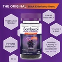 sambucol-black-elderberry-gummies---elde-4.jpg