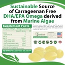 vegan-omega-3---carrageenan-free-plant-b-2.jpg