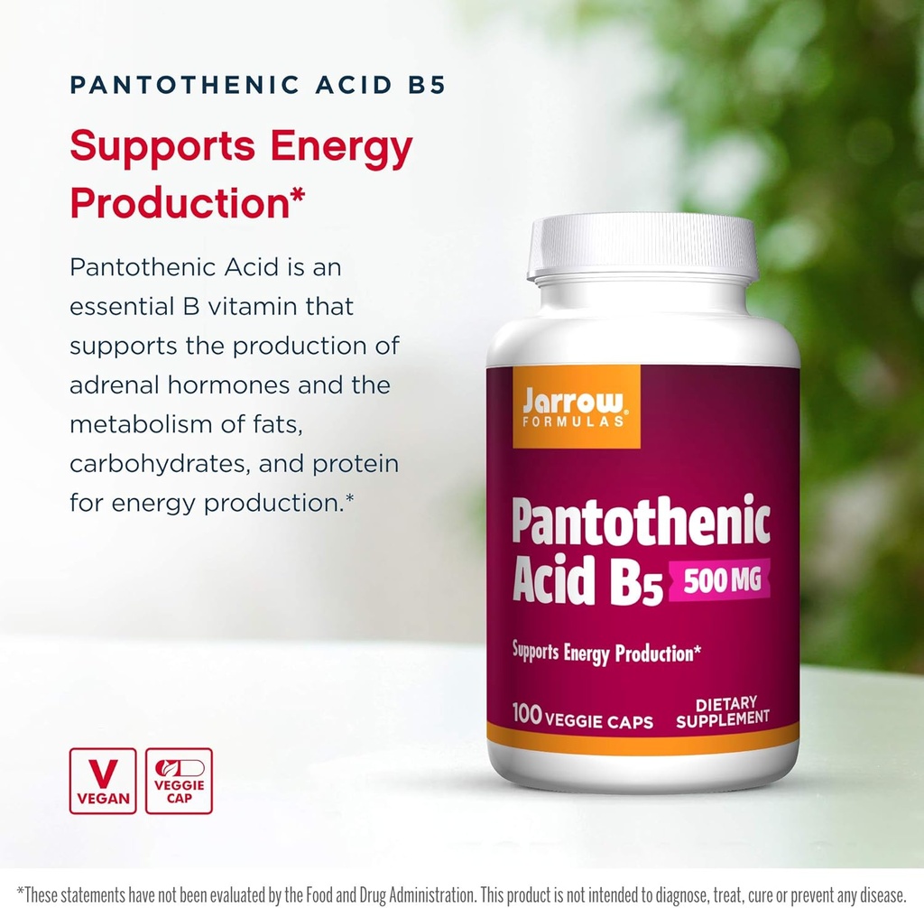jarrow-formulas-pantothenic-acid-b5-500--3.jpg