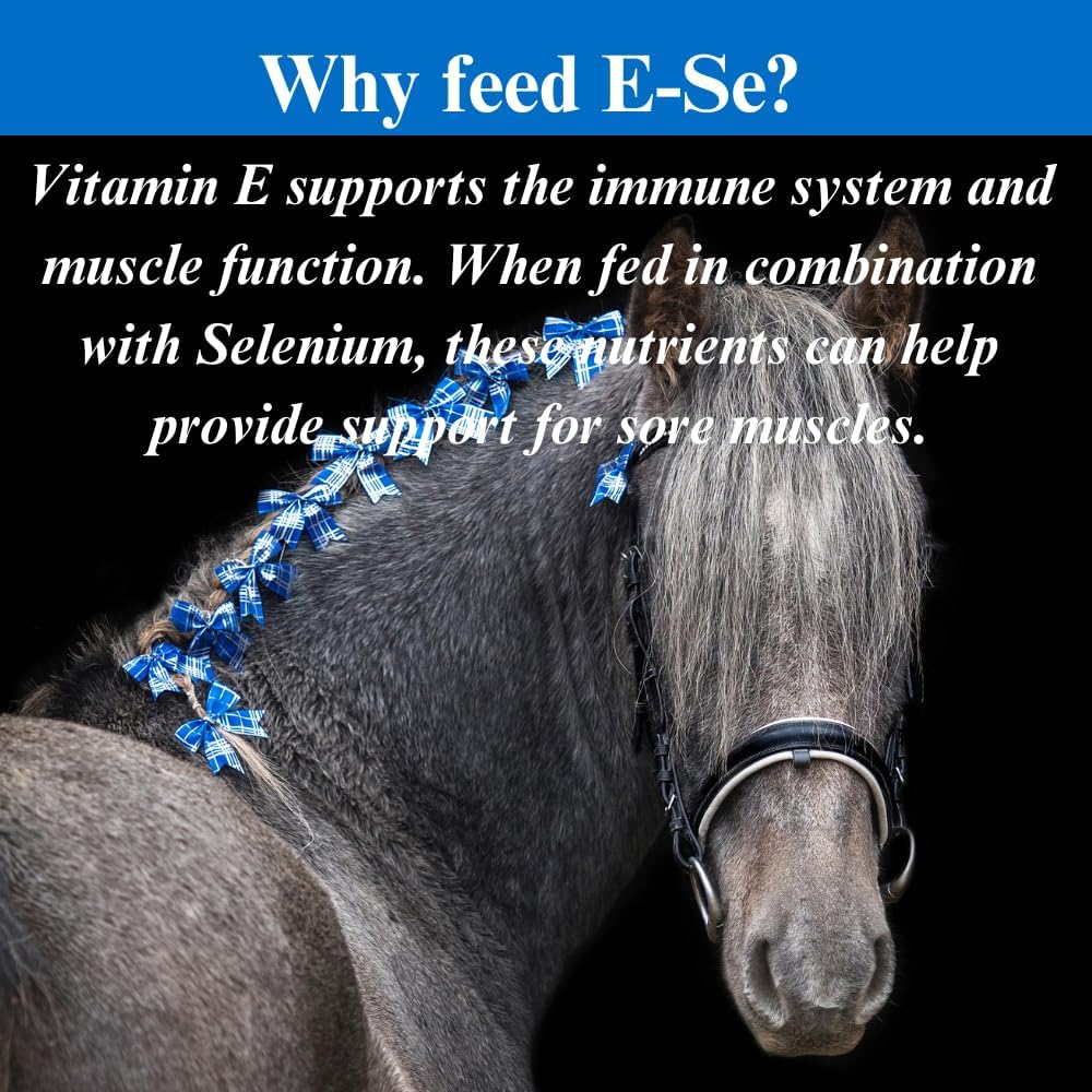 su-per-e-se-horses-antioxidant-supplemen-4.jpg