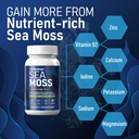 irish-sea-moss-6000mg---2000mg-black-see-3.jpg