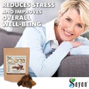 sayan-siberian-pure-raw-chaga-mushroom-c-6.jpg