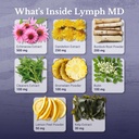 lymph-md---lymphatic-drainage-supplement-3.jpg