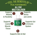 peak-performance-all-5-multi-collagen-pr-2.jpg