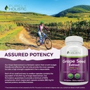 purely-holistic-grape-seed-extract-20000-6.jpg