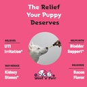 bladder-control-for-dogs-dog-bladder-sup-3.jpg
