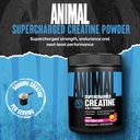 animal-supercharged-creatine-powder---fl-2.jpg