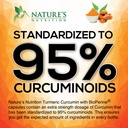 turmeric-curcumin-supplement-1950mg---95-3.jpg