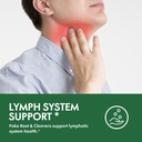 lymphatic-drainage-drops-for-lymph-syste-2.jpg