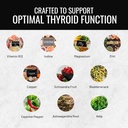 thyroid-support-for-women-men---ashwagan-3.jpg