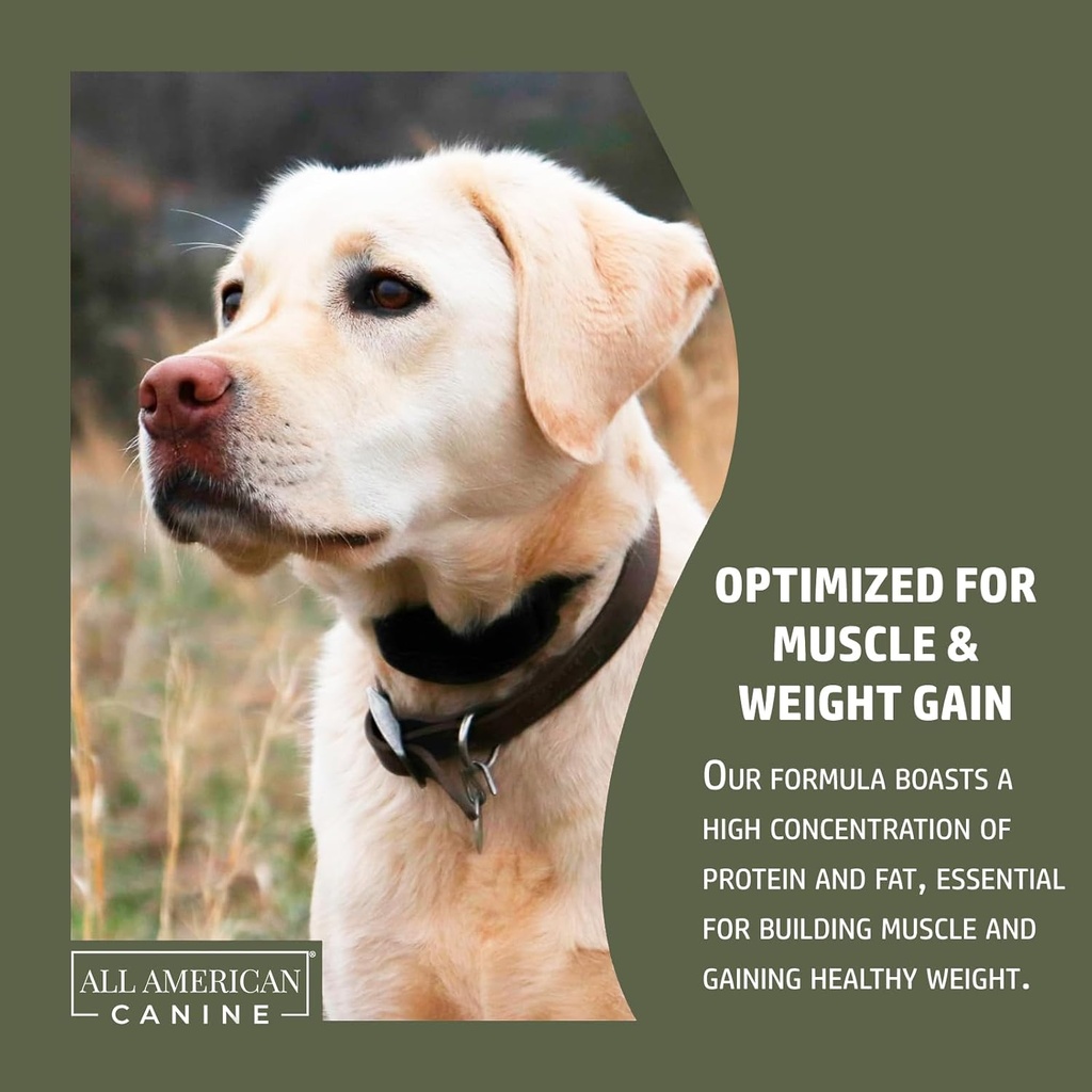 dog-weight-gainer-digestive-aid-formula--5.jpg