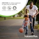 naturesplus-niacinamide---500-mg-90-tabl-6.jpg