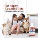 vital-earth-minerals-pet-fulvic---dog-al-6.jpg