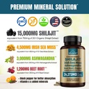 ultimate-antioxidant-bundle---shilajit-p-5.jpg